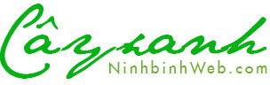 Mẫu website bán cây văn phòng – Thiết kế web Ninh Bình